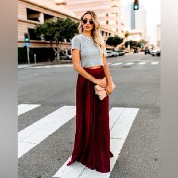 VICI Collection - Pleated Velvet Maxi Skirt - Small - Picture 3 of 3